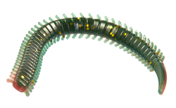 Черви съедобные искусственные Salt Water SANDWORM 4in (10 см), цвет F41, 15шт.