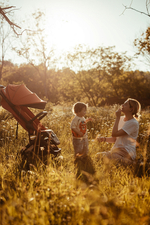 Детская прогулочная коляска Anex AIR-X Ax-01 terracotta