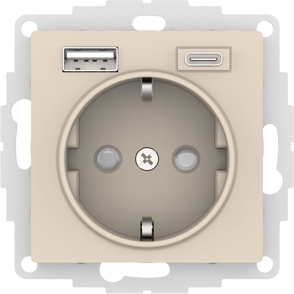 Розетка с заземлением с 2 USB  Systeme Electric ATN000232