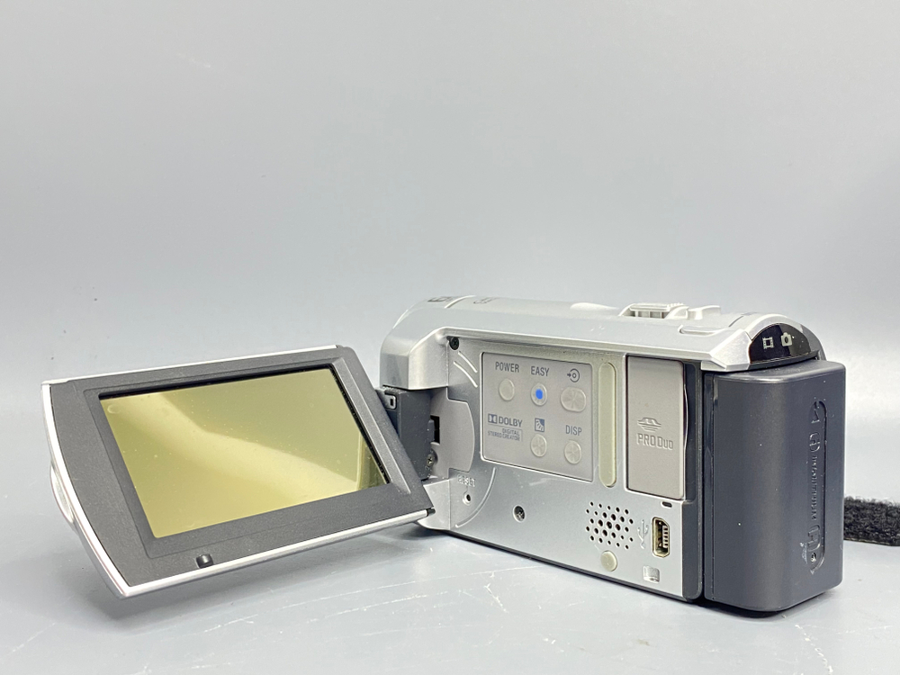 Sony DCR-SX40E