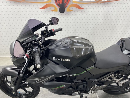 Kawasaki Z250 2013