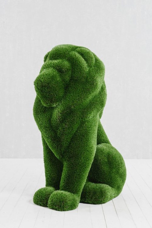 Топиари Лев