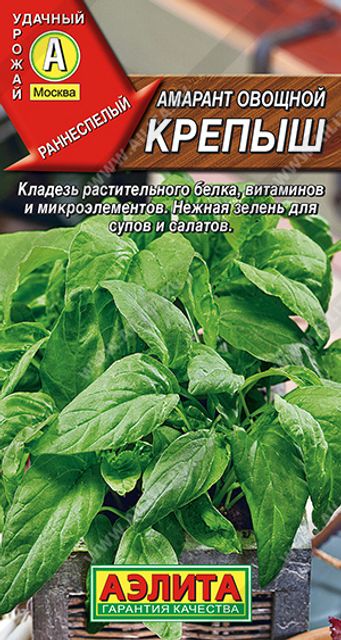 Зелень
