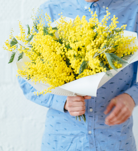 Мимоза сингл