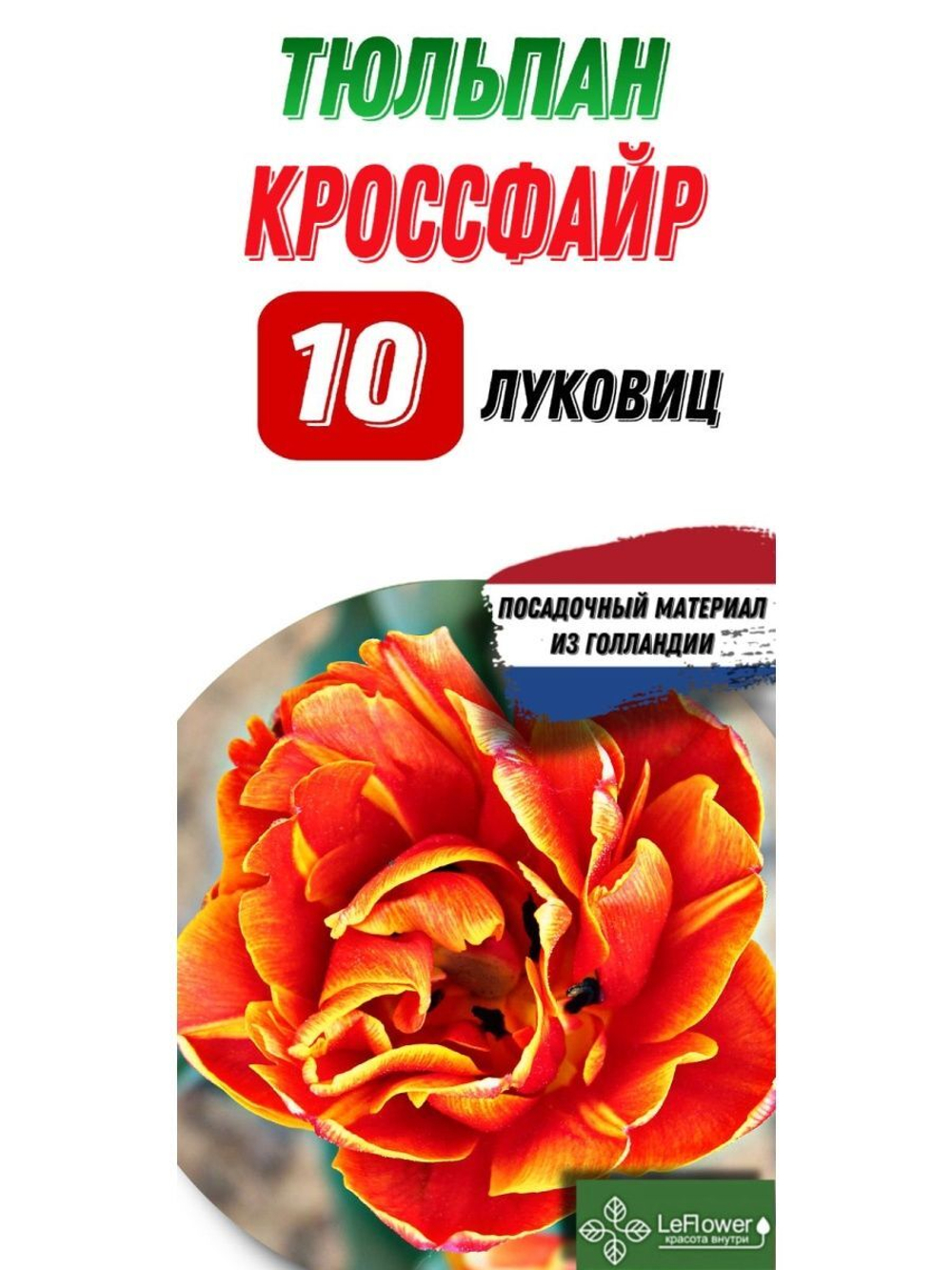 Тюльпан Луковица, Кроссфайр, 10шт