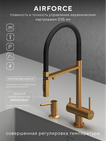 Смеситель для кухни Abelsberg Venta IXF73979BG c гибким изливом и возможностью подключения фильтра для воды, цвет королевское золото, PVD покрытие