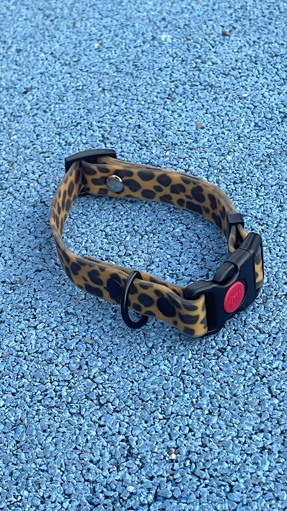 Ошейник леопардовый из Биотана для собак , ширина 20 мм, длина 30-40 см