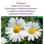 Свечи желтые/ защита и благополучие, с эфирными маслами и травами, 18х2 см