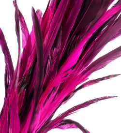 14-062 Декоративный веничек из перьев (о. Бали)