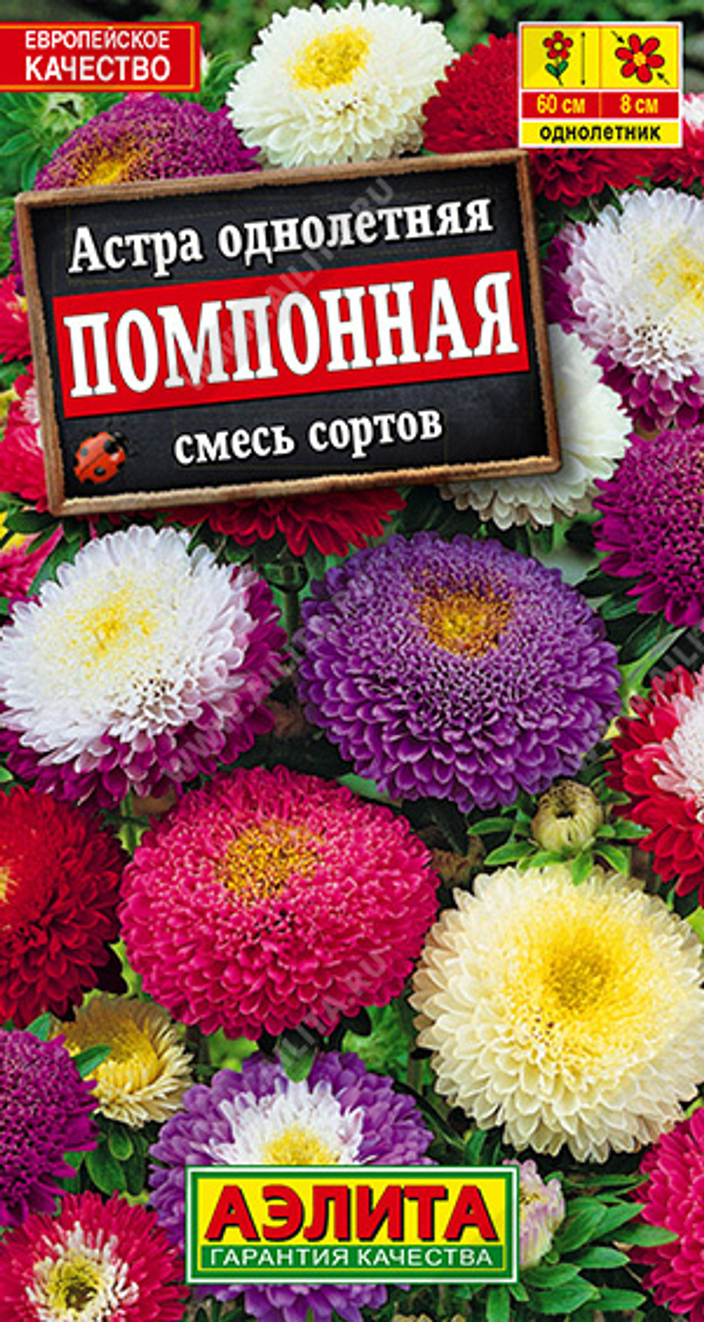 Астра Помпонная, смесь сортов 0,2гр Аэлита