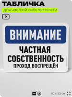 Табличка для частной территории "Внимание, частная собственность", на дом, для участка, организаций, предупреждающая, 40х30 см, Silver Plane x Айдентика Технолоджи