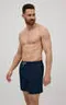 ZANTE 90346 Шорты купальные мужские