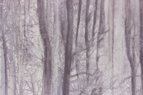 АСПЕКТ Deluxe 1,06 м 70392-56