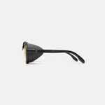 Очки солнцезащитные WHITELAB Tour2 Black / Bronze / Black