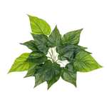 Филодендрон куст 45 см