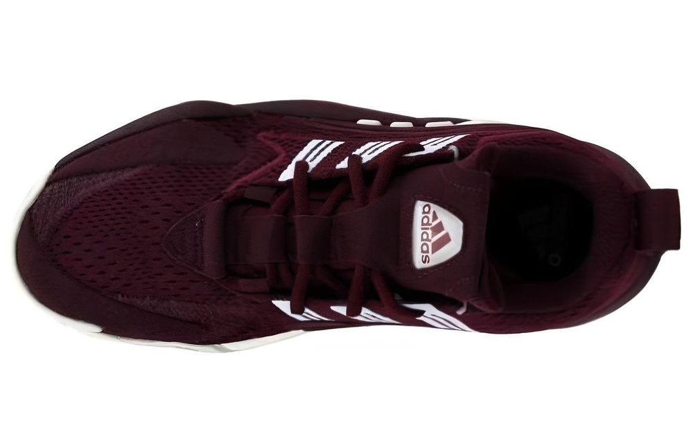 Кроссовки Adidas Crazy Byw 2.0 Sm