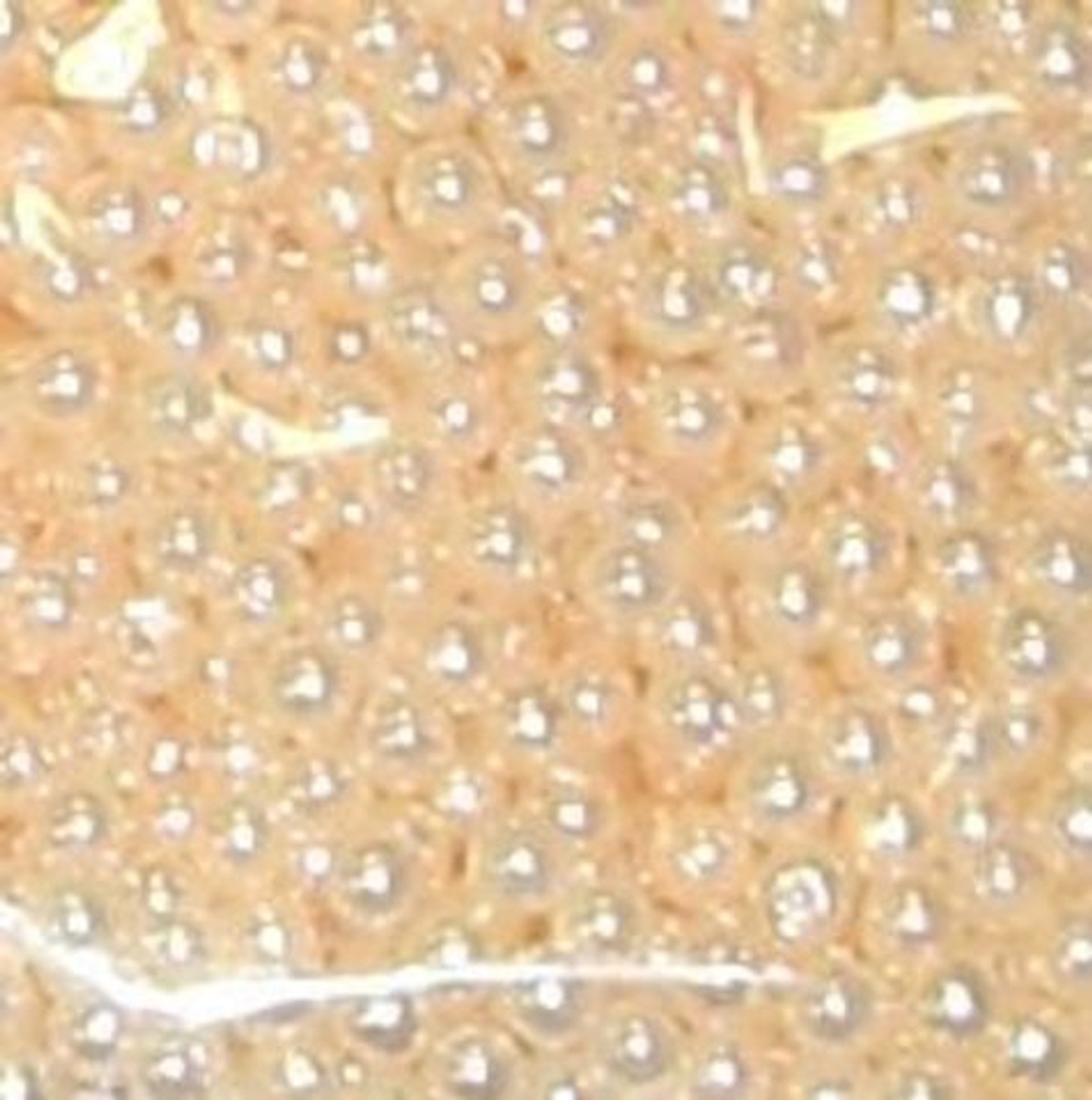 Бусы пластиковые -6мм-25г-Colibry