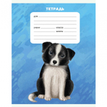 Тетрадь А5 18л., линия, Канц-Эксмо, скрепка, мелованный картон "Собачки", 5 видов