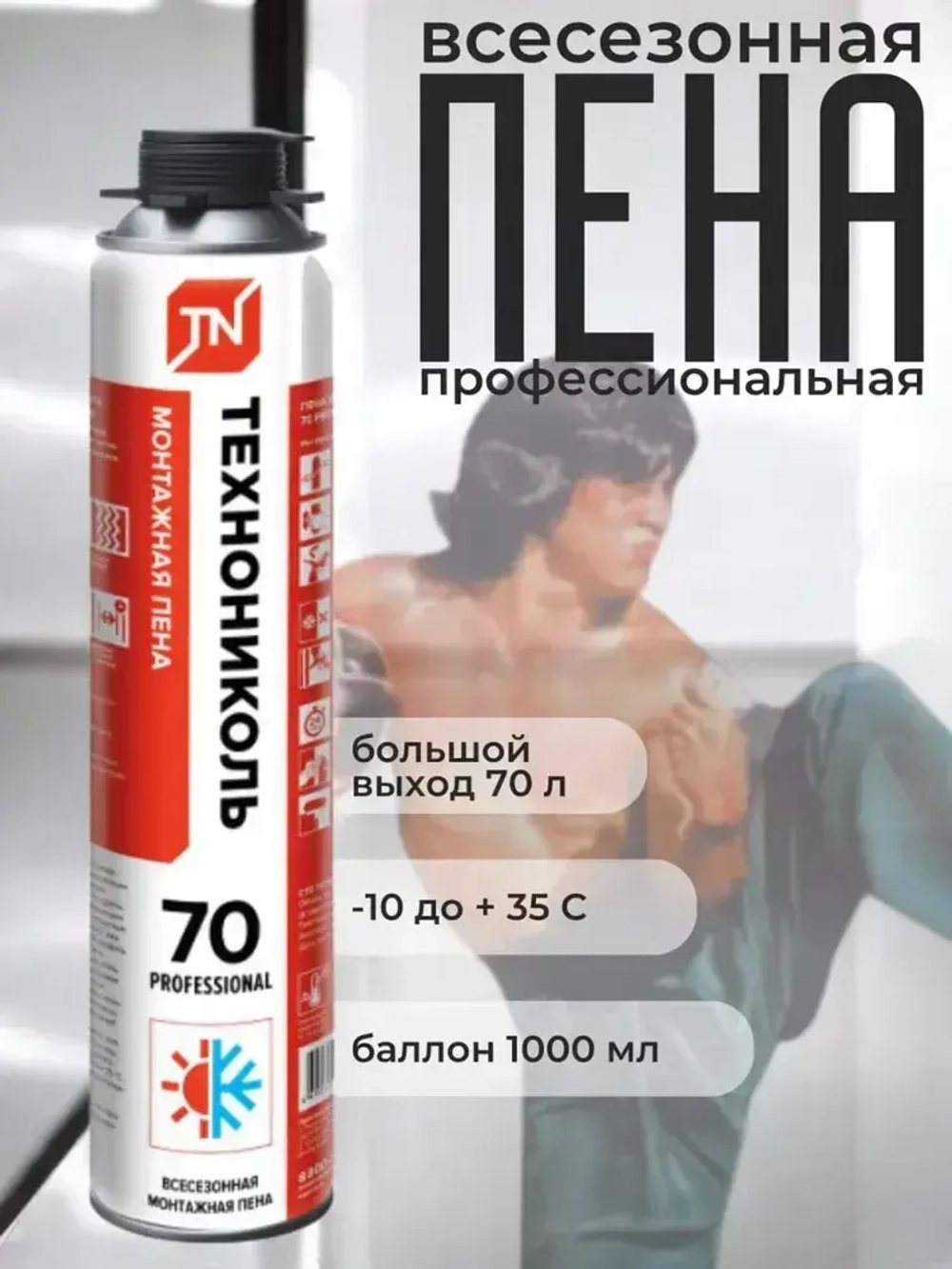 Пена монтажная профессиональная всесезонная Технониколь 70
