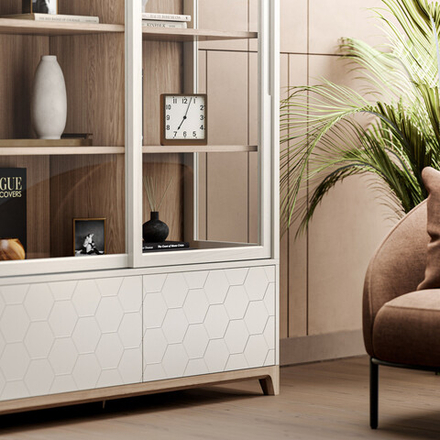 Витрина Case CS159