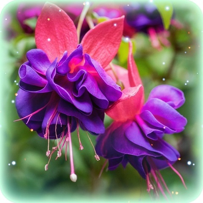 Вебинар-Интенсив 
"Эмоциональная Алхимия". Часть 8