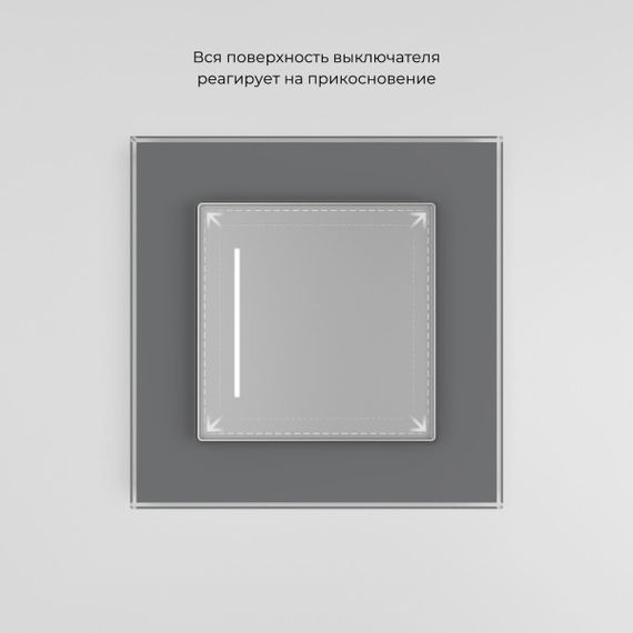 Сенсорный выключатель одноклавишный Werkel с подсветкой серебряный W4513006 4690389197901