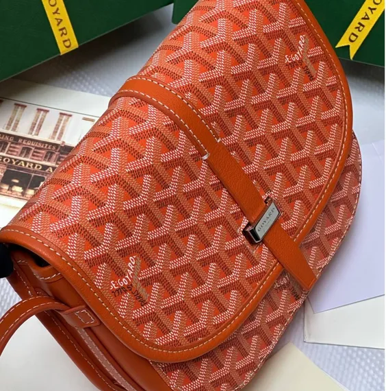 Сумка GOYARD Belvedere MM