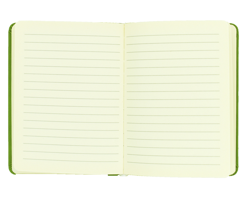 Блокнот Молескин А6 Зелёный