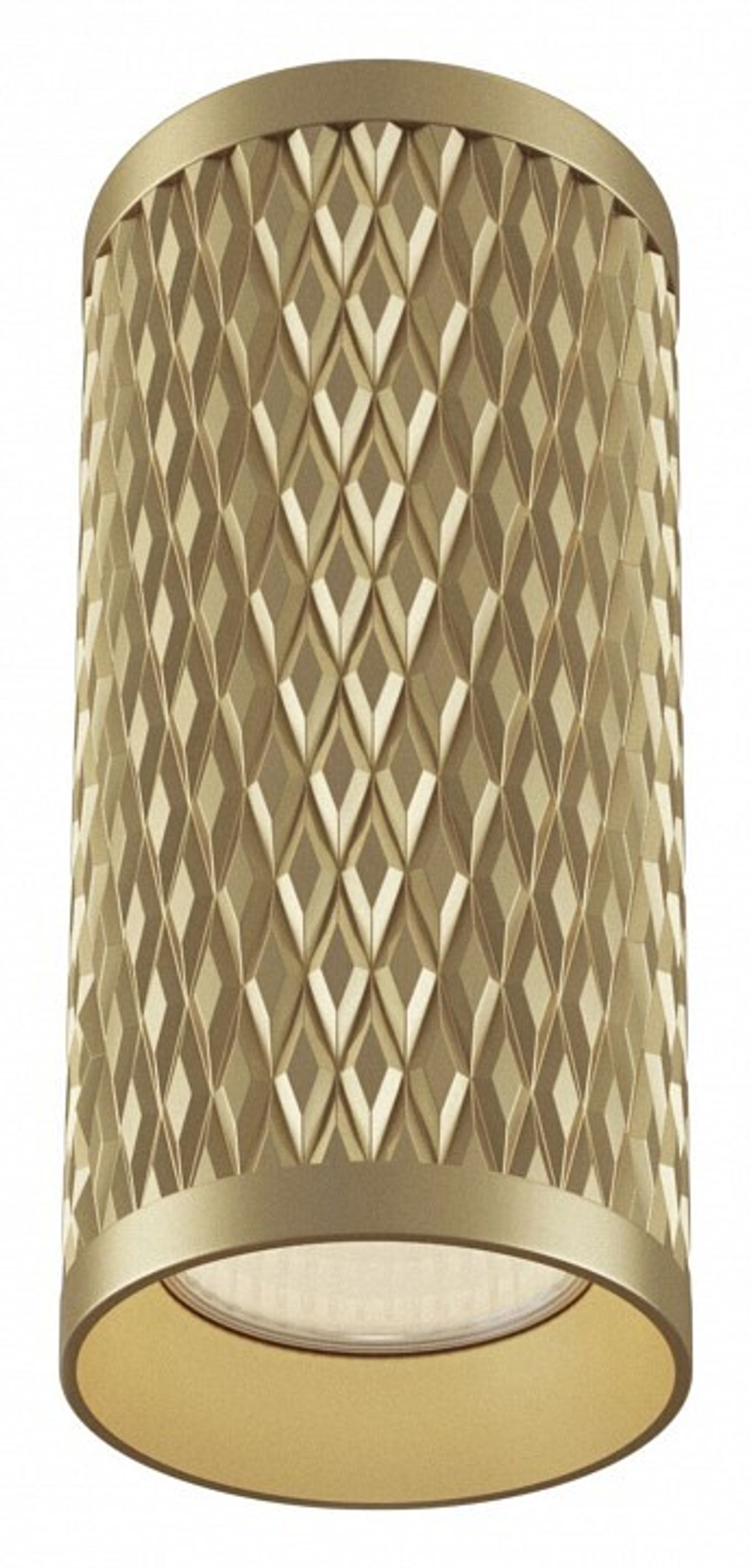 Накладной светильник Maytoni Technical C036CL-01G