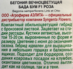 Бегония Бада бум F1 роза СМЦ-770