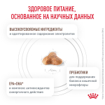 Royal Canin Gastrointestinal Fibre Response Корм сухой диетический для кошек при запорах 350 г