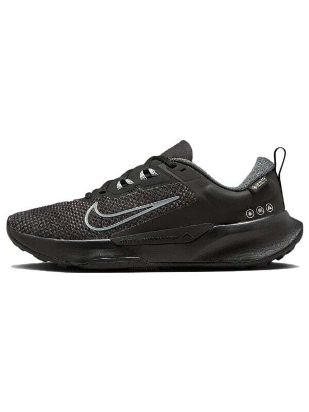 Кроссовки Nike Pegasus Trail 4 Gtx Waterproof 'Black' Women's