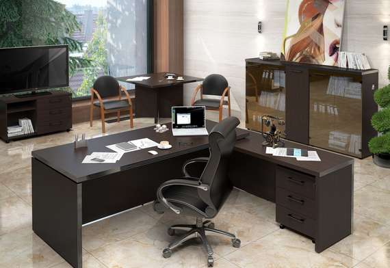 Кабинет руководителя Torr