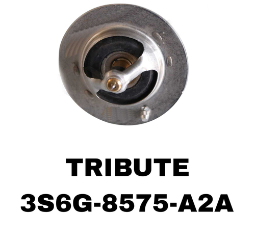 ТЕРМОСТАТ TRIBUTE