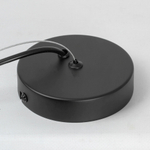 Подвесная  люстра Lussole MILLER LSP-8924