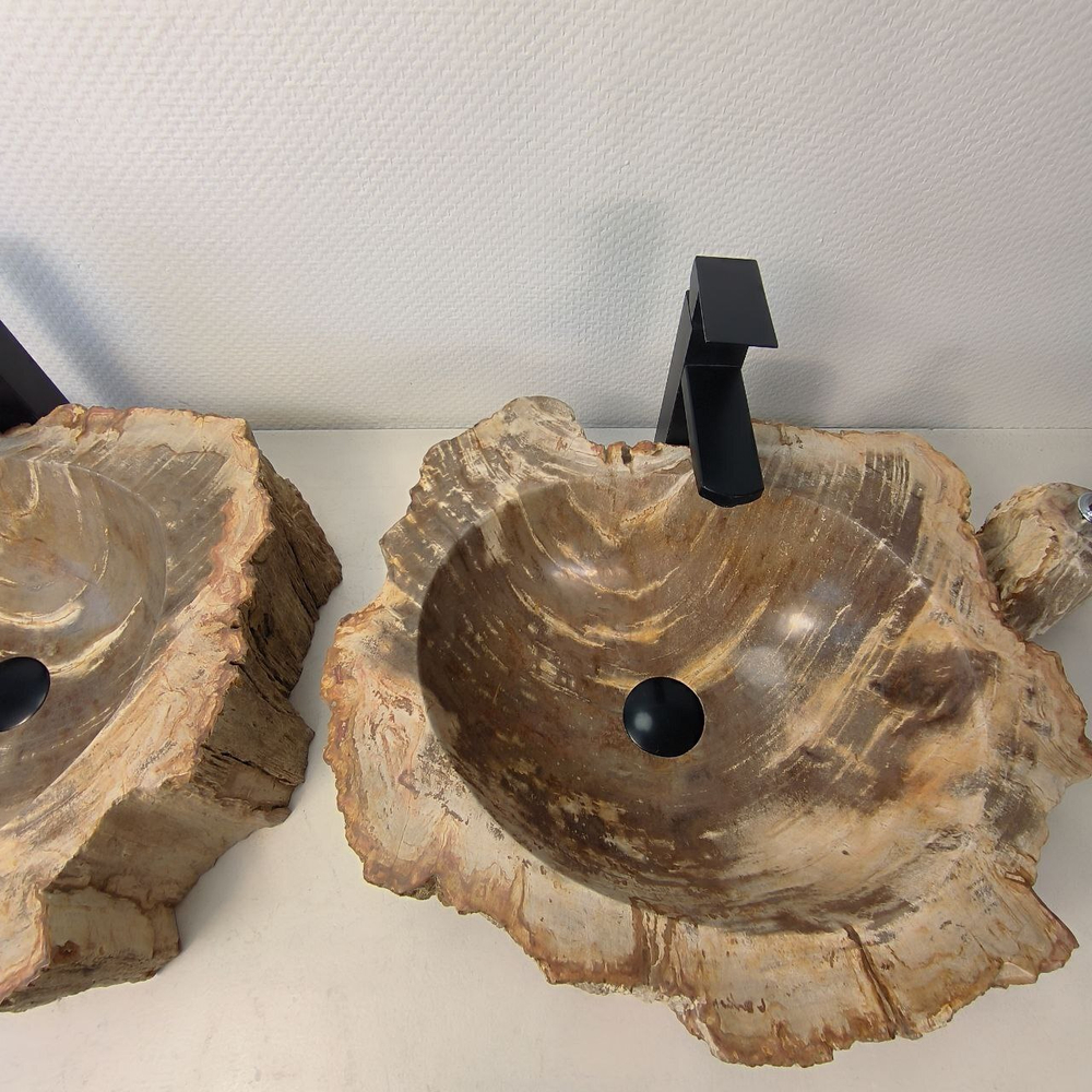 Раковина из окаменелого дерева ПАРА! OD-66073 52*45*15 из натурального камня