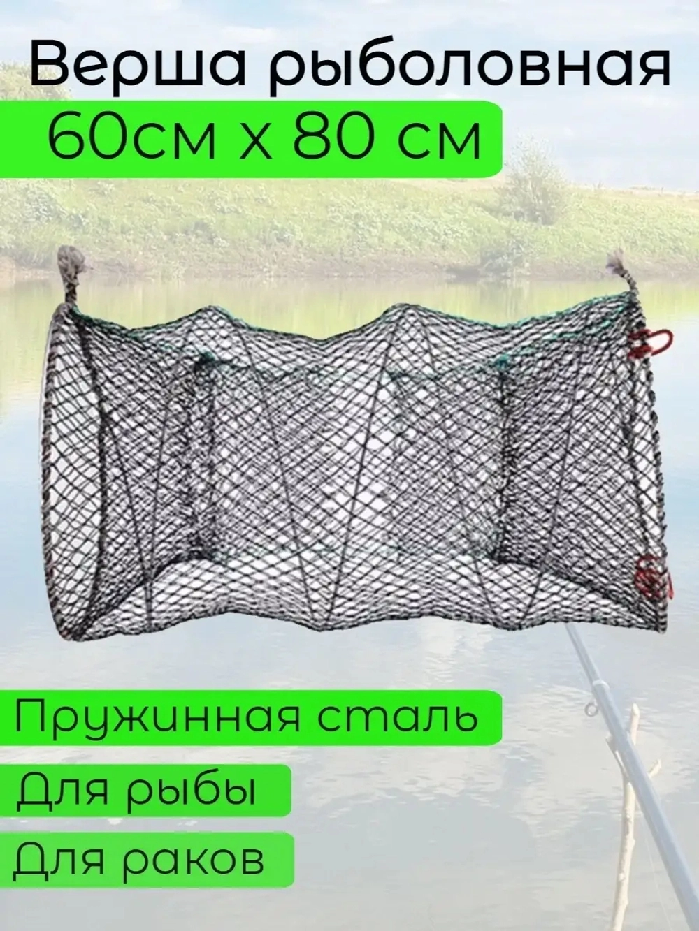 Морда 60см