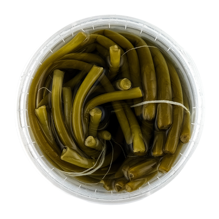 Черемша соленая "Захаровская"