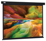 Экран  Cactus CS-PSW-206X274-BK