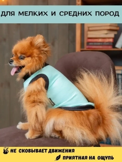 Майка для собак и кошек