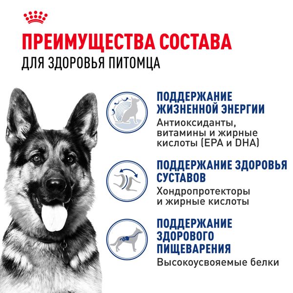 Сухой корм Royal Canin Maxi Ageing 8+ для стареющих собак крупных размеров от 8 лет и старше