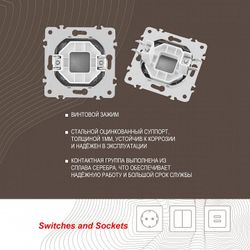Заглушка для поста, без рамки Arte Milano am-203 203.50-1.shampan
