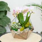 Готовый флорариум с сиреневой орхидеей Икос