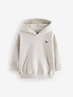 Толстовка с капюшоном для мальчика Next 608-751, Светло-серый