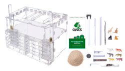 Crystal XL pro + колония Camponotus nicobarensis