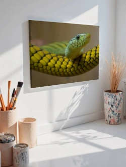 Картина на стену 40 X 50 Змея