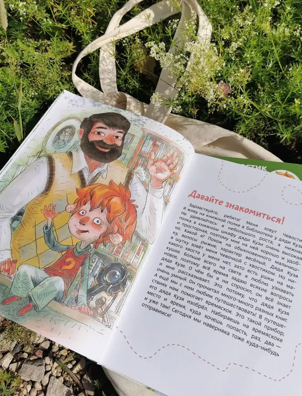 Как устроен человек. Детская энциклопедия (Чевостик) (Paperback)