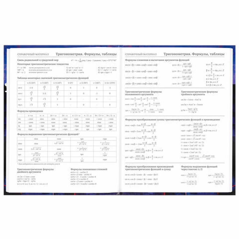 Дневник 5-11 класс 48 л., твердый, BRAUBERG, глянцевая ламинация, с подсказом, "Anime", 106864