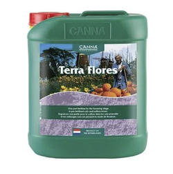 Canna Terra Flores