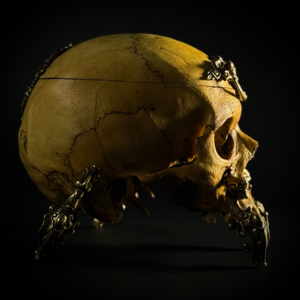 Шкатулка «Headcrab»
